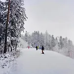 Chalet Strozowka Ski&spa Nad Rzeka Z Ogrodem I Jacuzzi,narty.