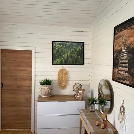 Strozowka Ski&spa Nad Rzeka Z Ogrodem I Jacuzzi,narty. Dağ evi