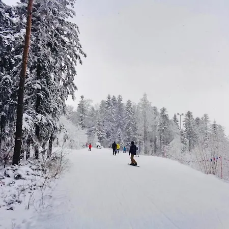 Dağ evi Strozowka Ski&spa Nad Rzeka Z Ogrodem I Jacuzzi,narty.